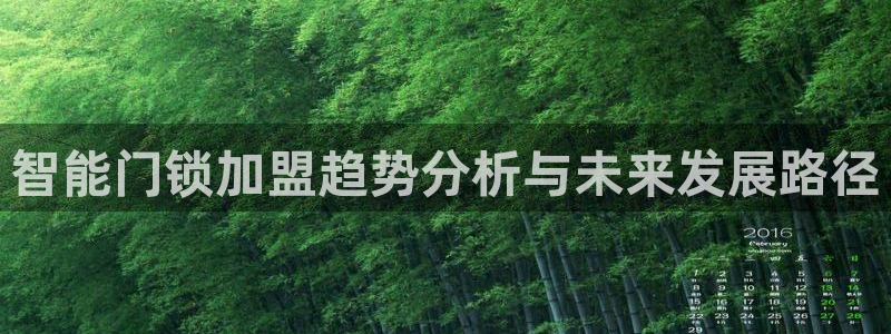 开丰娱乐地址查询：智能门锁加盟趋势分析与未来发展路径