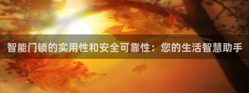 开丰娱乐登入：智能门锁的实用性和安全可靠性：您的生活智慧助手