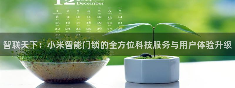 开丰娱乐网站：智联天下：小米智能门锁的全方位科技服务与用户体