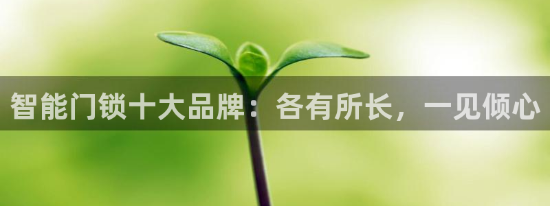 开丰娱乐平台地址在哪里