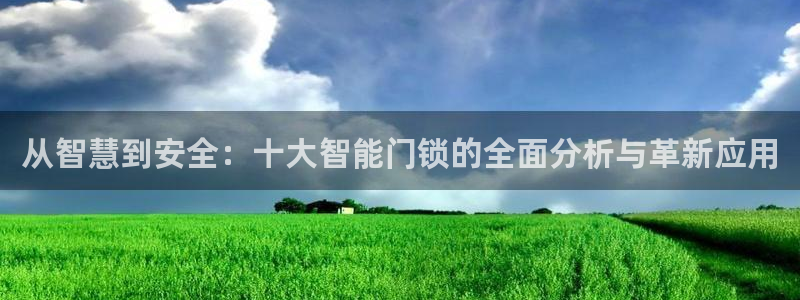 开丰娱乐咋7O777：从智慧到安全：十大智能门锁的全面分析与