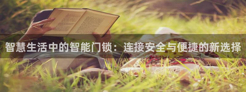 开丰娱乐寸六七五一38：智慧生活中的智能门锁：连接安全与便捷