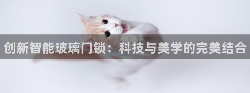 开丰娱乐官网登录平台：创新智能玻璃门锁：科技与美学的完美结合