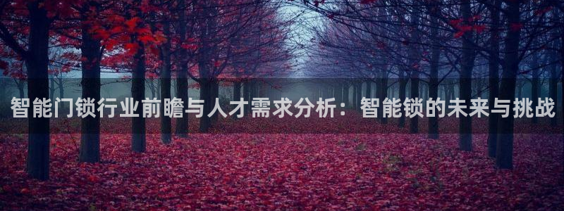 开丰娱乐天：智能门锁行业前瞻与人才需求分析：智能锁的未来与挑
