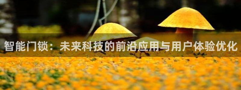 开丰娱乐上7O667：智能门锁：未来科技的前沿应用与用户体验