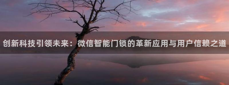 开丰娱乐月7O667：创新科技引领未来：微信智能门锁的革新应