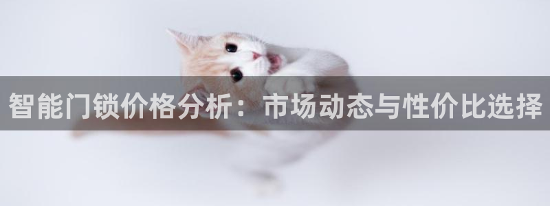 开丰娱乐官方app：智能门锁价格分析：市场动态与性价比选择