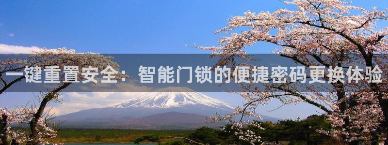 开丰娱乐登陆地址：一键重置安全：智能门锁的便捷密码更换体验