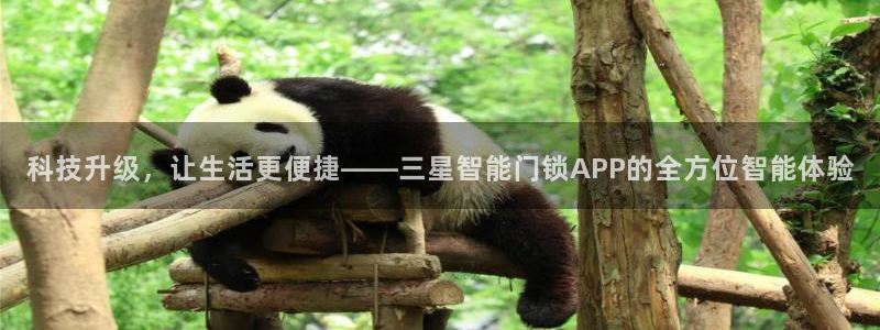 开丰娱乐会员中心：科技升级，让生活更便捷——三星智能门锁AP