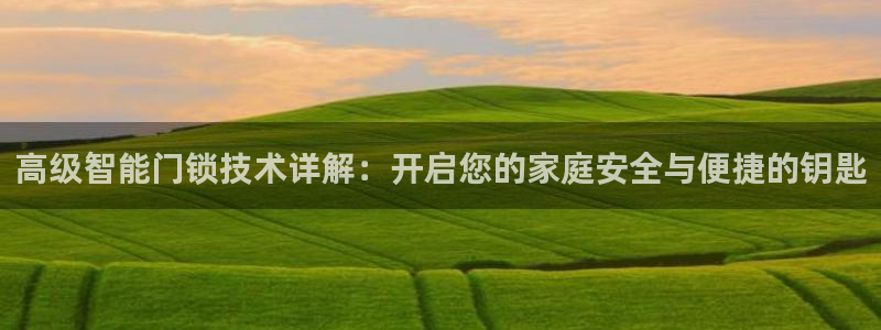 开丰娱乐2登录：高级智能门锁技术详解：开启您的家庭安全与便捷