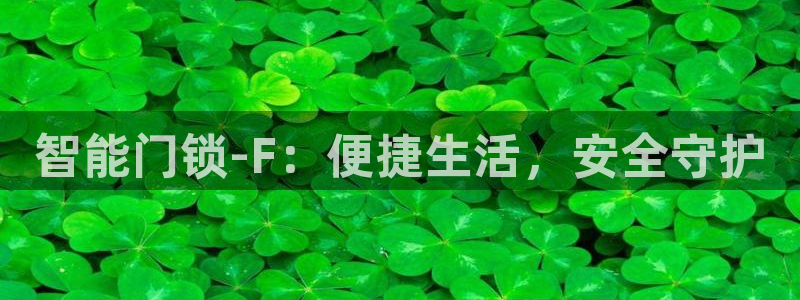 开丰娱乐网址：智能门锁-F：便捷生活，安全守护