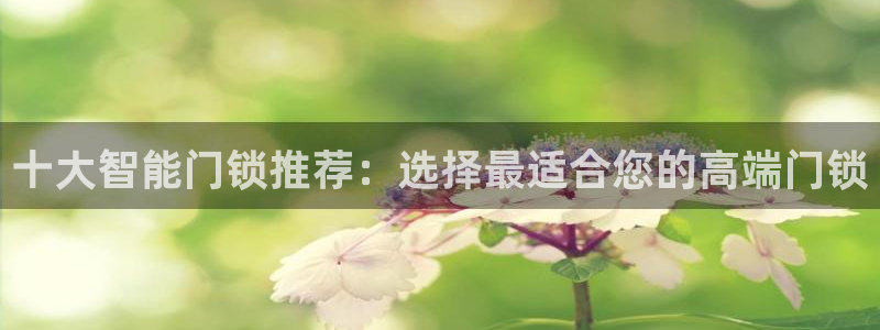 开丰娱乐右7O667：十大智能门锁推荐：选择最适合您的高端门