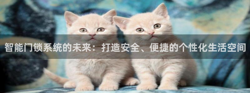 开丰娱乐新登录平台：智能门锁系统的未来：打造安全、便捷的个性
