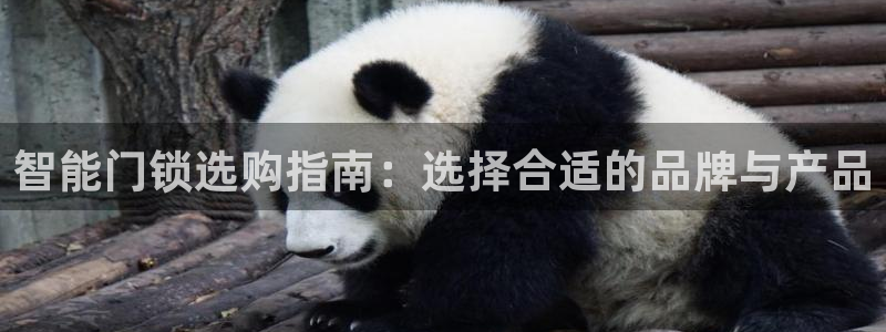 开丰娱乐上7O667：智能门锁选购指南：选择合适的品牌与产品