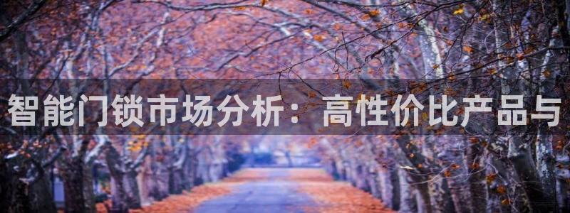 开丰娱乐靠谱吗：智能门锁市场分析：高性价比产品与