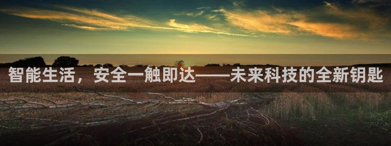 开丰娱乐上7O667：智能生活，安全一触即达——未来科技的全
