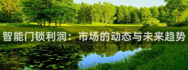 开丰娱乐网站官网首页：智能门锁利润：市场的动态与未来趋势