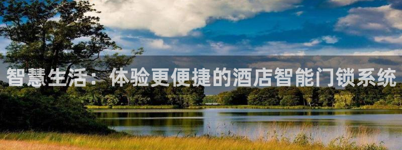 开丰娱乐注册登录不了：智慧生活：体验更便捷的酒店智能门锁系统