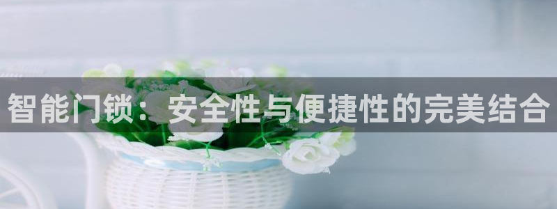 下载开丰娱乐：智能门锁：安全性与便捷性的完美结合
