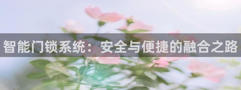 开丰娱乐平台官网网址：智能门锁系统：安全与便捷的融合之路
