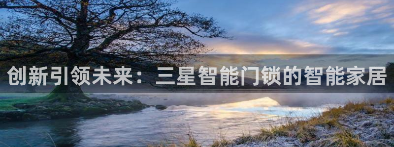 开丰娱乐下7O667：创新引领未来：三星智能门锁的智能家居