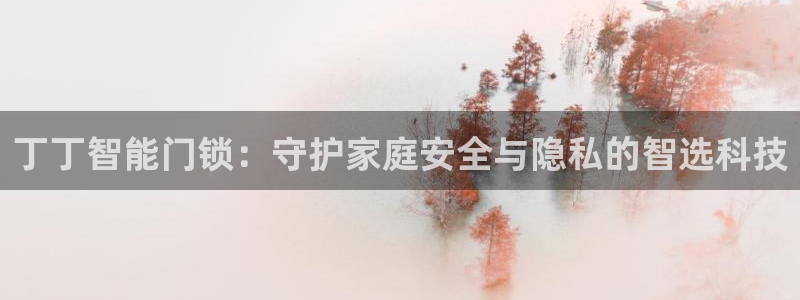 开丰娱乐平台注册地址：丁丁智能门锁：守护家庭安全与隐私的智选