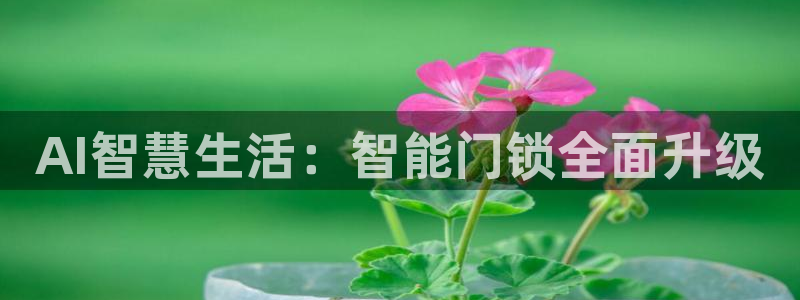 开丰娱乐官网登录平台：AI智慧生活：智能门锁全面升级