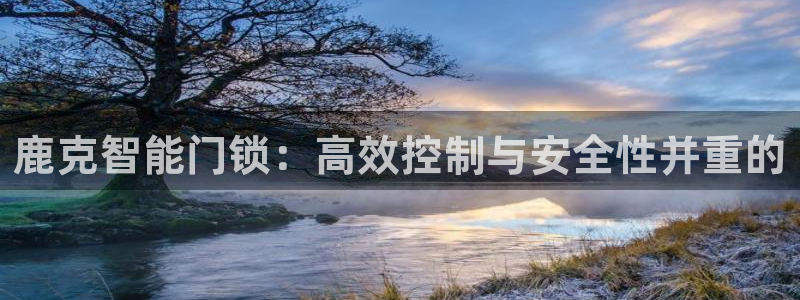 如何注册开丰娱乐账号：鹿克智能门锁：高效控制与安全性并重的