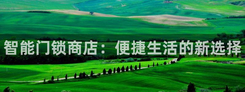 开丰娱乐官网登录平台：智能门锁商店：便捷生活的新选择