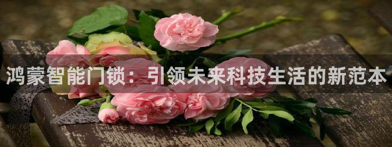 开丰娱乐注册：鸿蒙智能门锁：引领未来科技生活的新范本