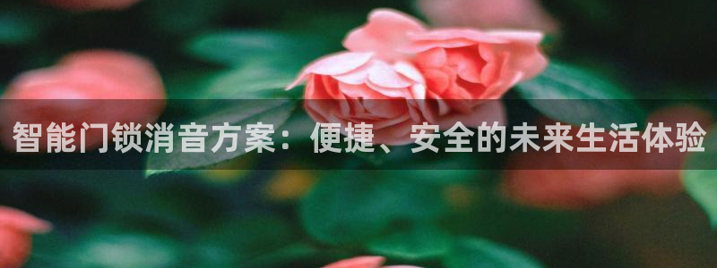 开丰娱乐注册登录不了：智能门锁消音方案：便捷、安全的未来生活