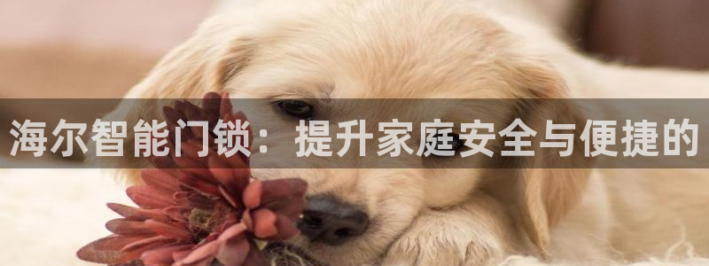开丰娱乐官网：海尔智能门锁：提升家庭安全与便捷的