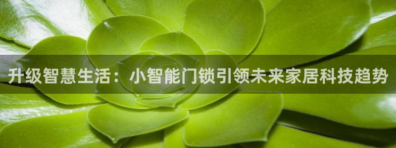 开丰娱乐登陆：升级智慧生活：小智能门锁引领未来家居科技趋势