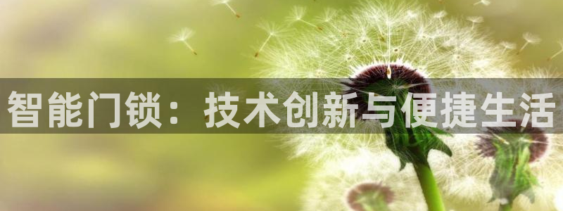 开丰娱乐地址：智能门锁：技术创新与便捷生活