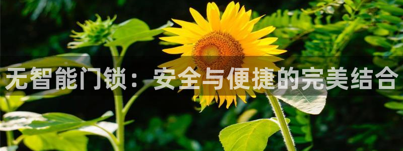 下载开丰娱乐：无智能门锁：安全与便捷的完美结合