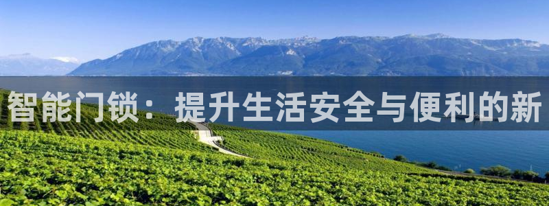下载开丰娱乐：智能门锁：提升生活安全与便利的新