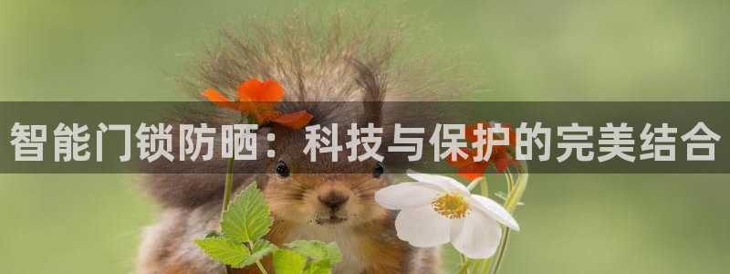 开丰娱乐登入地址是什么：智能门锁防晒：科技与保护的完美结合