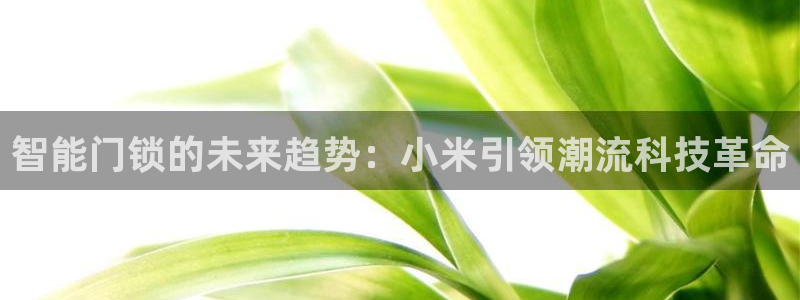 开丰娱乐网站官网入口：智能门锁的未来趋势：小米引领潮流科技革