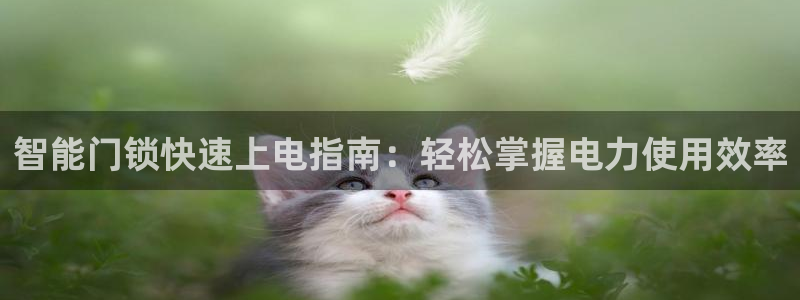 开丰娱乐主管：智能门锁快速上电指南：轻松掌握电力使用效率