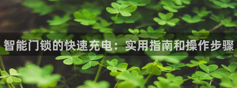 开丰娱乐测速：智能门锁的快速充电：实用指南和操作步骤