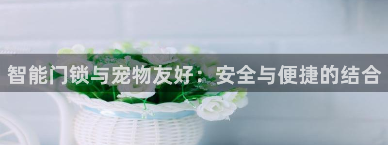 开丰娱乐67 5138：智能门锁与宠物友好：安全与便捷的结合