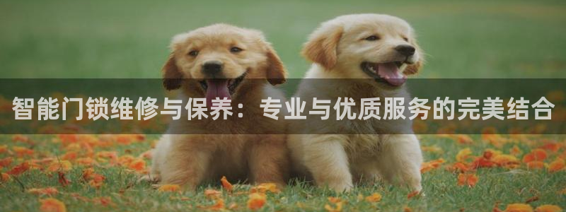 开丰娱乐联系q徽22212：智能门锁维修与保养：专业与优质服