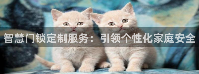 开丰娱乐注册资金多少：智慧门锁定制服务：引领个性化家庭安全