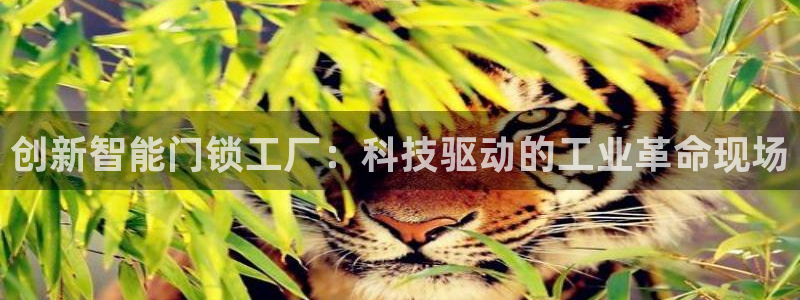 开丰娱乐注册登录：创新智能门锁工厂：科技驱动的工业革命现场