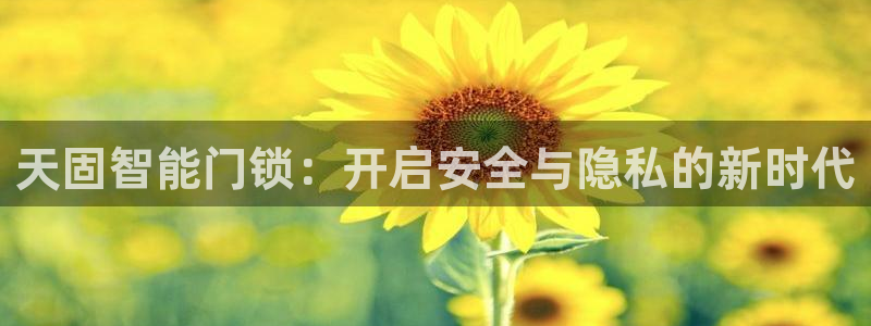 开丰娱乐官网平台登录：天固智能门锁：开启安全与隐私的新时代