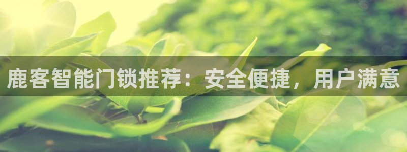 开丰娱乐67 5138：鹿客智能门锁推荐：安全便捷，用户满意