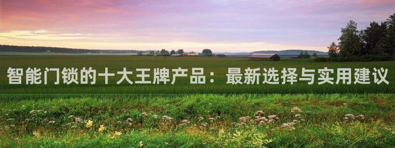 开丰娱乐网站官网入口：智能门锁的十大王牌产品：最新选择与实用