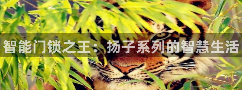 开丰娱乐手机app：智能门锁之王：扬子系列的智慧生活