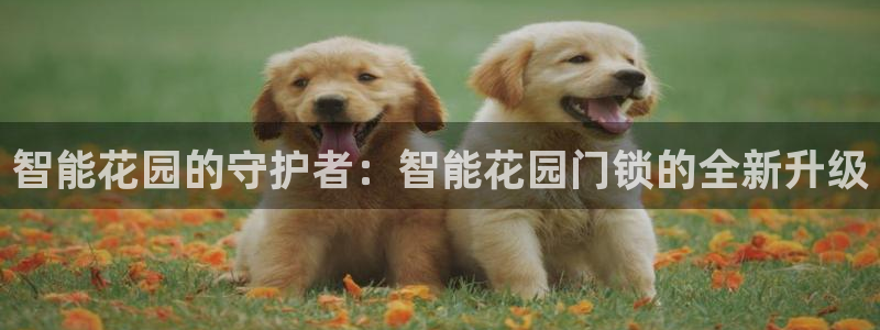 开丰娱乐下：智能花园的守护者：智能花园门锁的全新升级