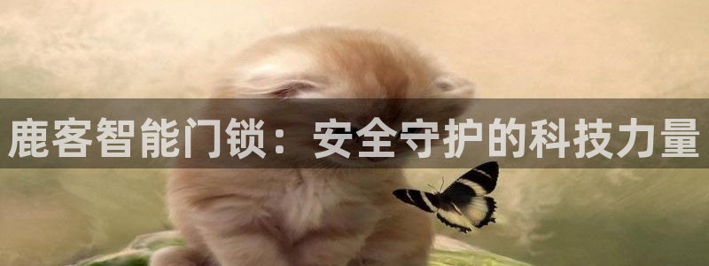 开丰娱乐网官网注册入口：鹿客智能门锁：安全守护的科技力量